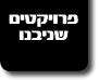 פרויקטים שניבנו