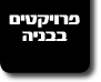 פרויקטים בבניה